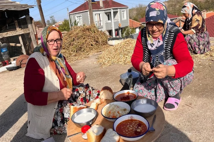 Edirne'de kuru fasulyenin zorlu hasat mesaisi