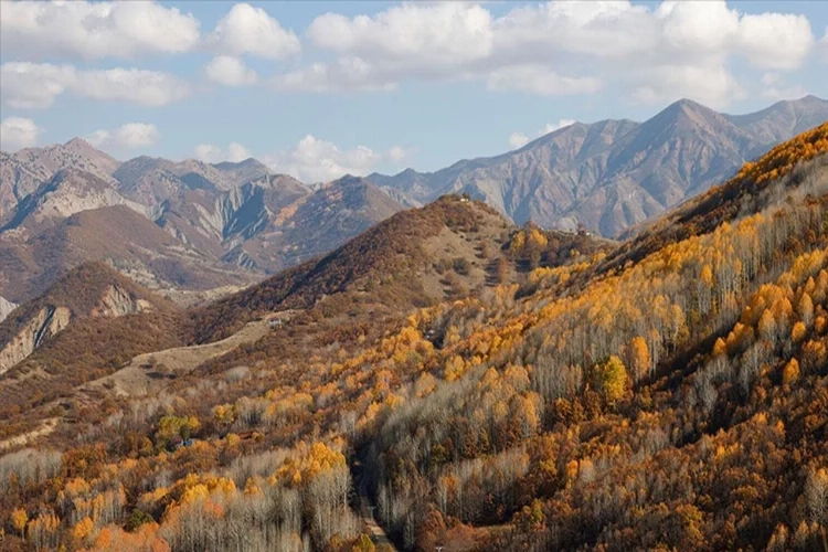 Tunceli’de doğaseverlerin uğrak noktası: Salördek ormanları