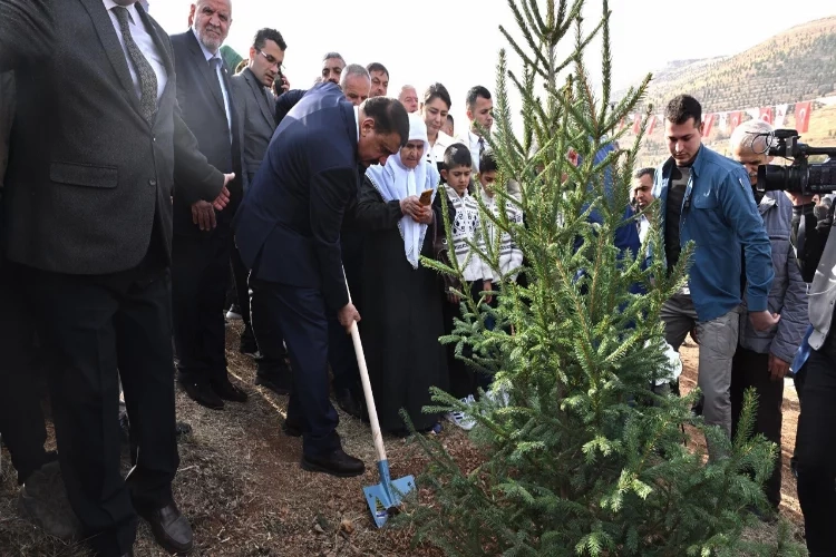 Malatya'da deprem şehitleri için hatıra ormanı