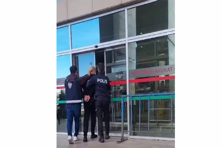 İstanbul’da kedi katliamı!  haberinin görseli