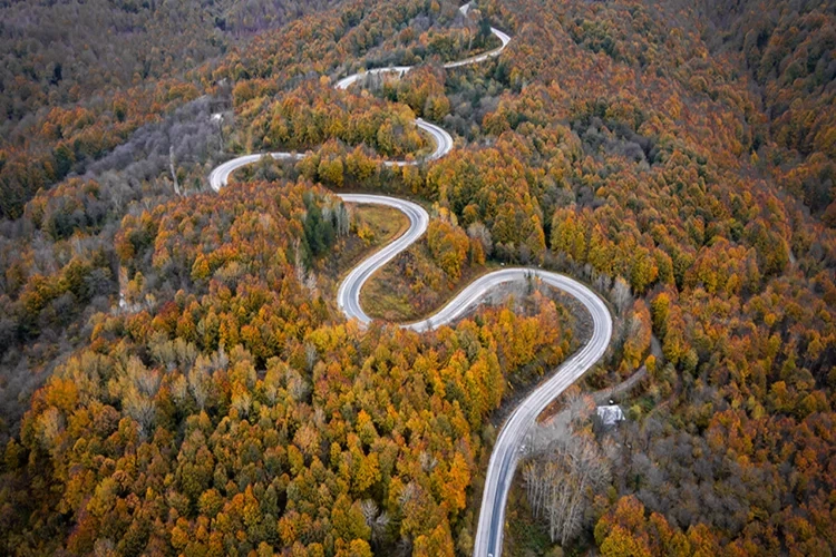 Kıvrımlı yollar sonbaharın renkleriyle buluştu