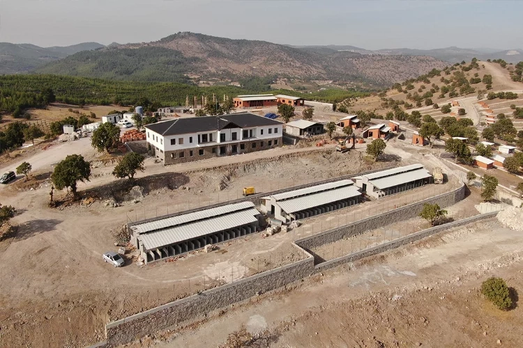 Ege’nin en büyük Sokak Hayvanları Doğal Yaşam Parkı açılacak