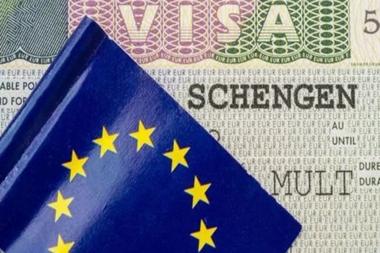 İnternetten Schengen vizesine nasıl başvurulur? Dijital Schengen vizesi başvurusu