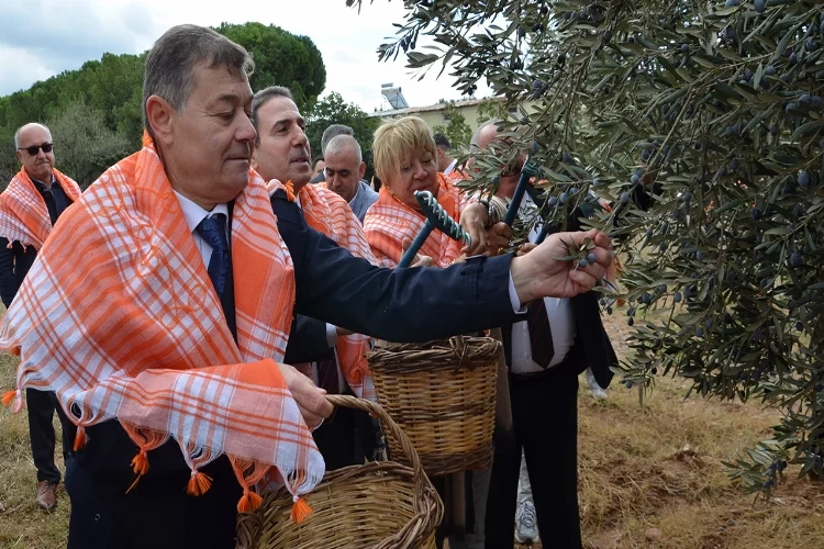 İzmir’de zeytin ve zeytinyağı sezonu açıldı haberinin görseli
