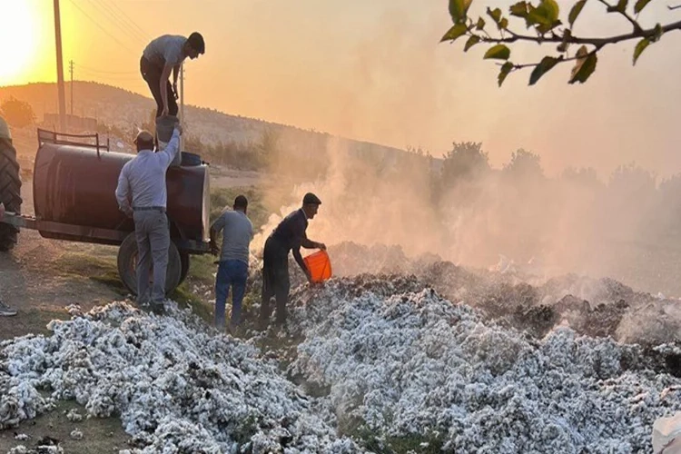 Adıyaman Besni'de 6,5 ton pamuk yandı