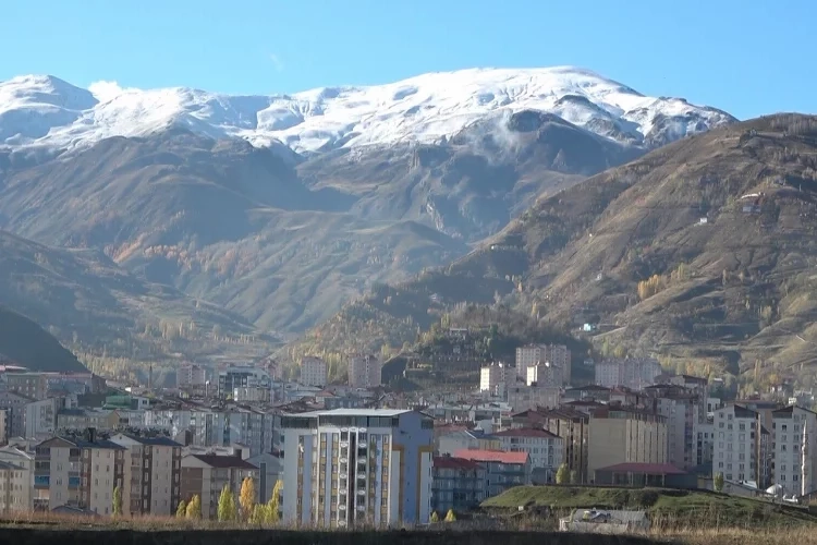 Muş beyaz gelinliğe büründü