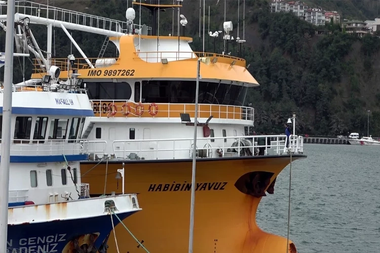 Doğal gaz arama çalışmalarında görevli gemiler Amasra Limanı’na sığındı haberinin görseli
