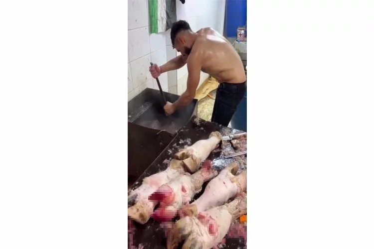 Yarı çıplak dana ayağı temizliği pahalıya patladı haberinin görseli