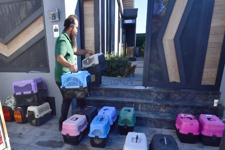 İzmir’de mobil araçla hayvanlar kısırlaştırılıyor haberinin görseli