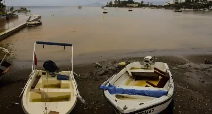 Muğla'da deniz çamurla kaplandı haberinin görseli