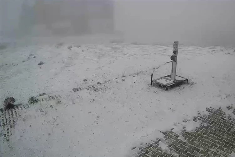 Denizli yılın ilk karı ile beyaza büründü haberinin görseli
