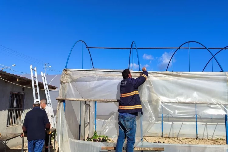 Adana’da şiddetli rüzgar seraları parçaladı haberinin görseli