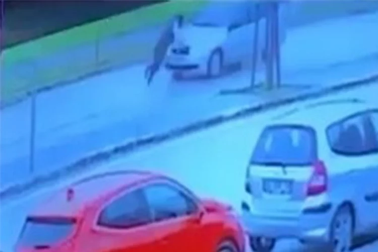 Canını hiçe saydı, kendini otomobilin önüne attı haberinin görseli