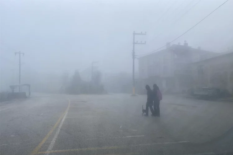 Düzce’de yoğun sis: Göz gözü görmüyor haberinin görseli