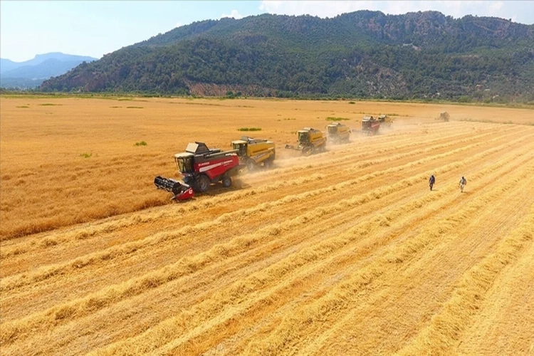 Tarımsal girdi enflasyonu yıllık yüzde 40,97 arttı