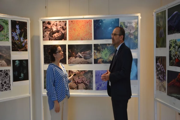 Ege Üniversitesi'nden “Bilimin Görüntüleri: Fotoğraf Sergisi”