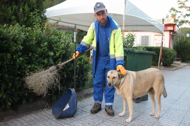 Sokak köpeği ile temizlik görevlisinin yürekleri ısıtan dostluğu