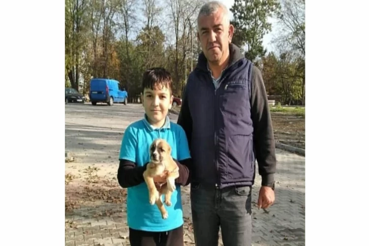 Keşan'da kulakları ve kuyruğu kesilen yavru köpek sahiplenildi haberinin görseli