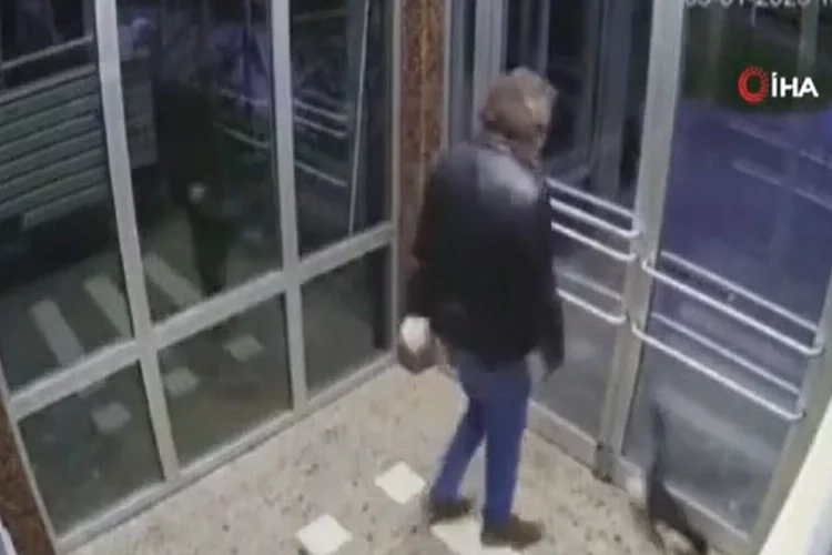 İstanbul’da kediyi darp eden sanık hakkında istenen ceza belli oldu haberinin görseli