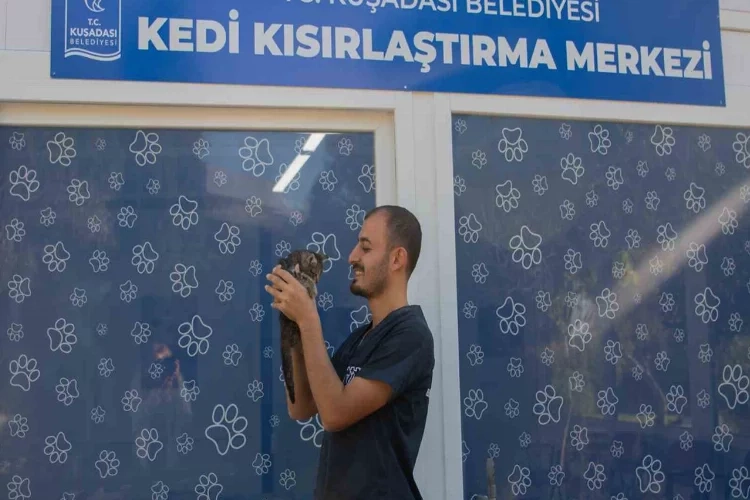 Kuşadası Belediyesi'nden patili dostlar için bir adım haberinin görseli