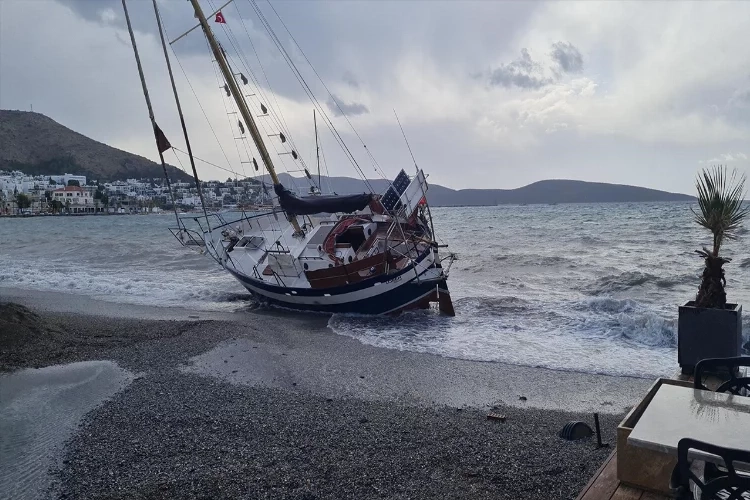 Düzensiz göçmenler karaya vurdu