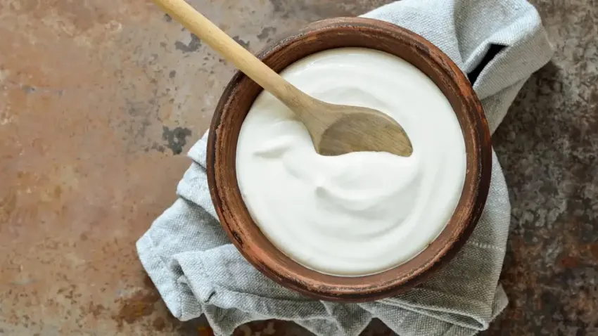 yoğurt