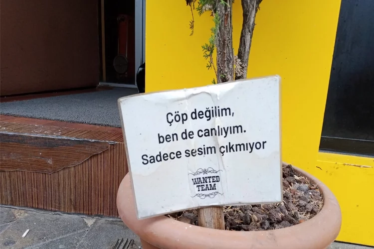 Dibine sürekli çöp bırakılan bitkiden mesaj var