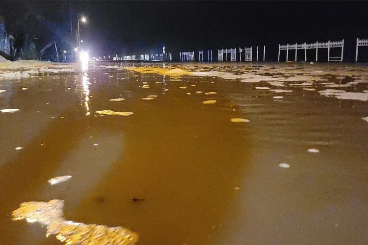 Kastamonu’da deniz kara ile birleşti