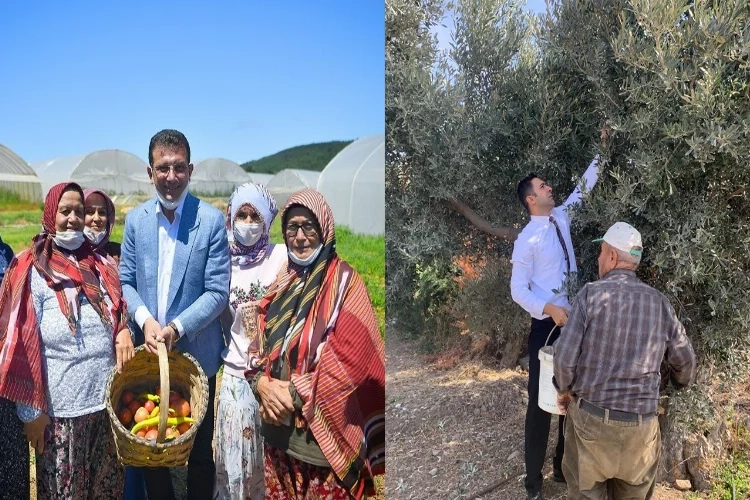 Tarımsal projelerde Ekrem Başkanı örnek alıyorum haberinin görseli