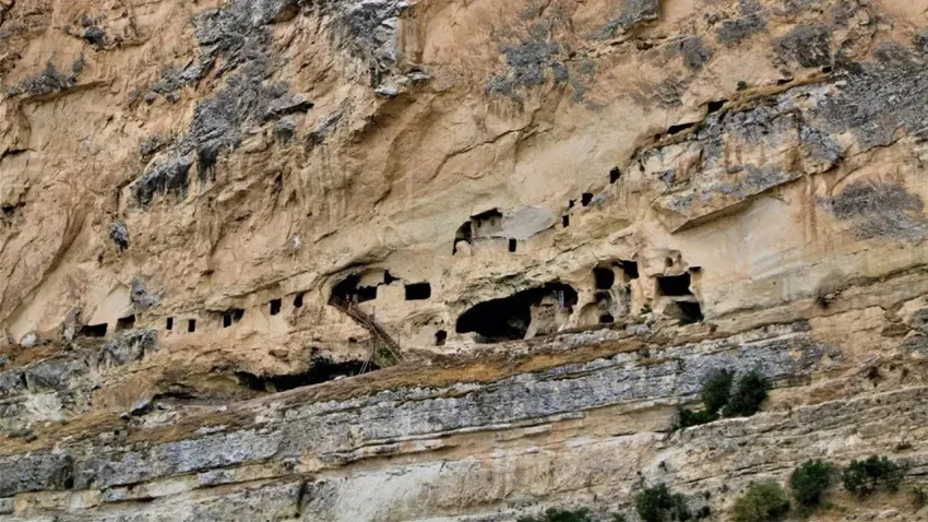 in delikleri