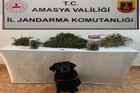 Amasya’da uyuşturucu operasyonu: 2 kişiye gözaltı