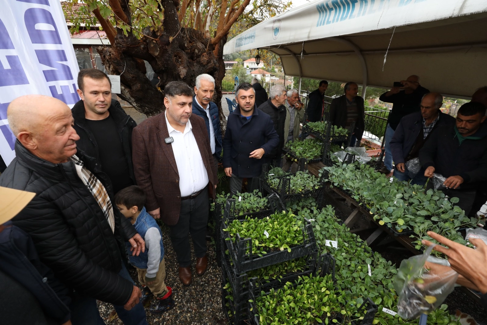 Menderes’te üreticilere ücretsiz fide dağıtıldı haberinin görseli