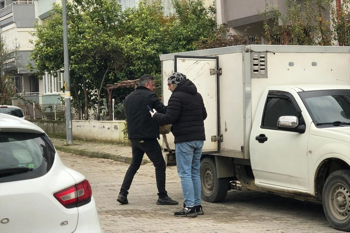 Aydın’da sahipsiz köpeklerin zehirlenerek öldürüldü haberinin görseli