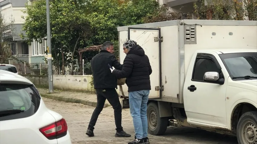 Aydın’da sahipsiz köpeklerin zehirlenerek öldürüldü haberinin görseli