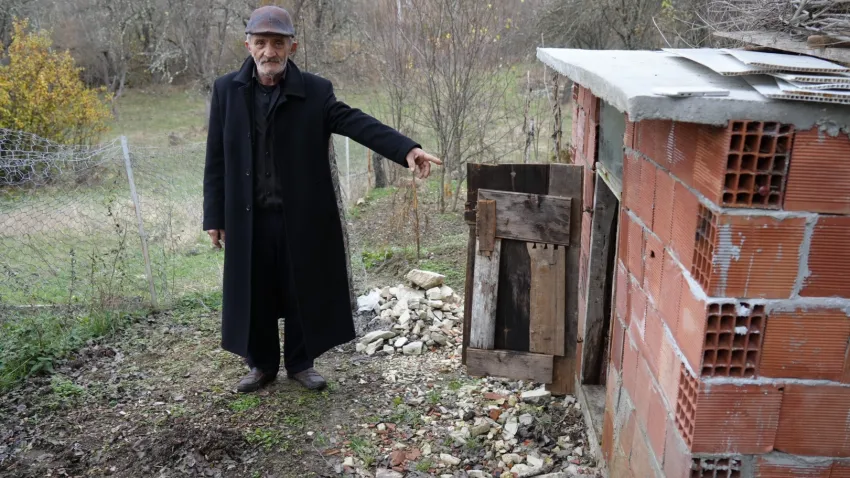 Ayı kümesteki tavukları ve horozları telef etti haberinin görseli