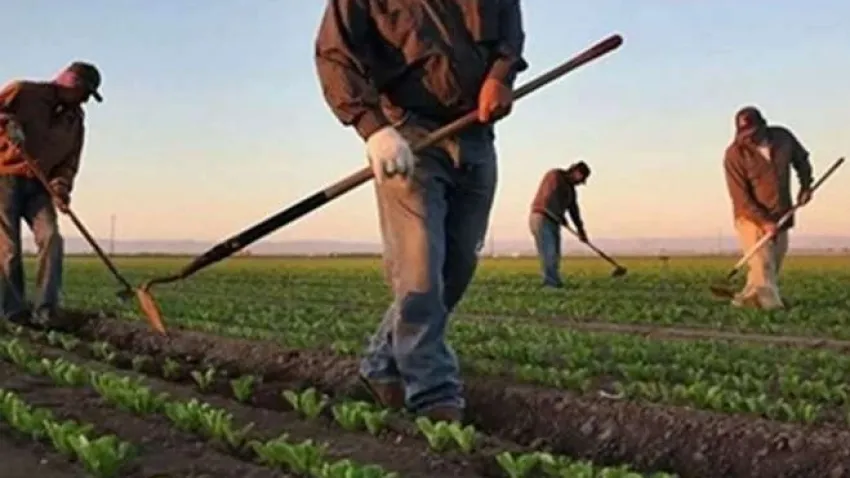 Çiftçi Kayıt Sistemi başvurularıyla ilgili önemli bir açıklama yapıldı haberinin görseli