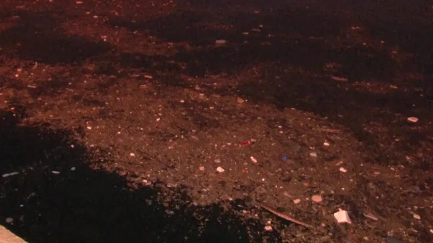 İstanbul Boğazı’na balıklar yaklaşmıyor haberinin görseli