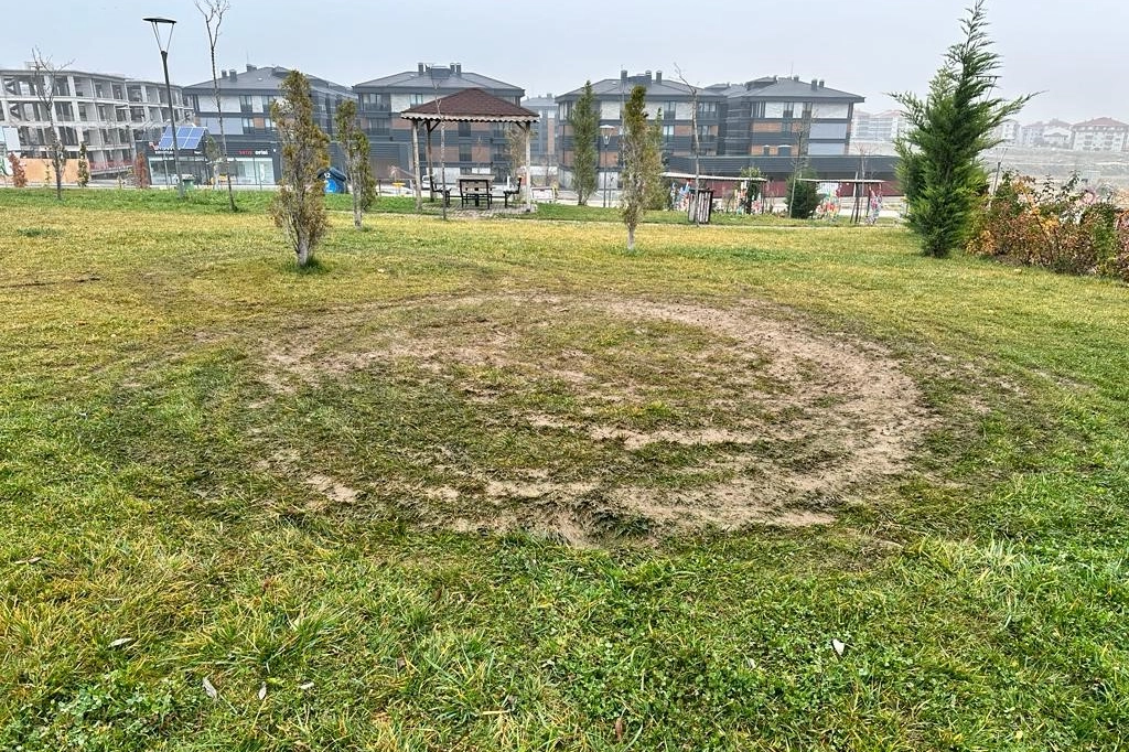 Motosikletli şehir vandalları çimenlere zarar verdi haberinin görseli