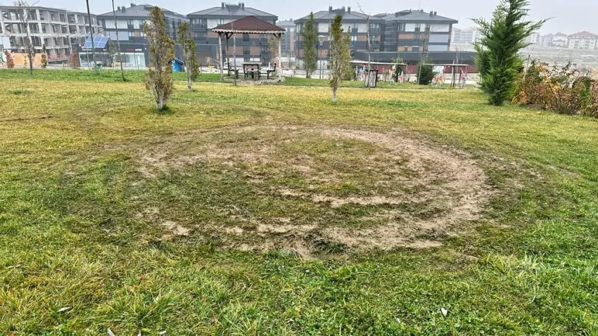 Motosikletli şehir vandalları çimenlere zarar verdi haberinin görseli