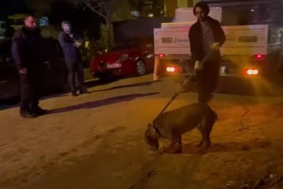 İstanbul’da pitbull dehşeti: Çocuklara saldırdı, apartmanı birbirine kattı