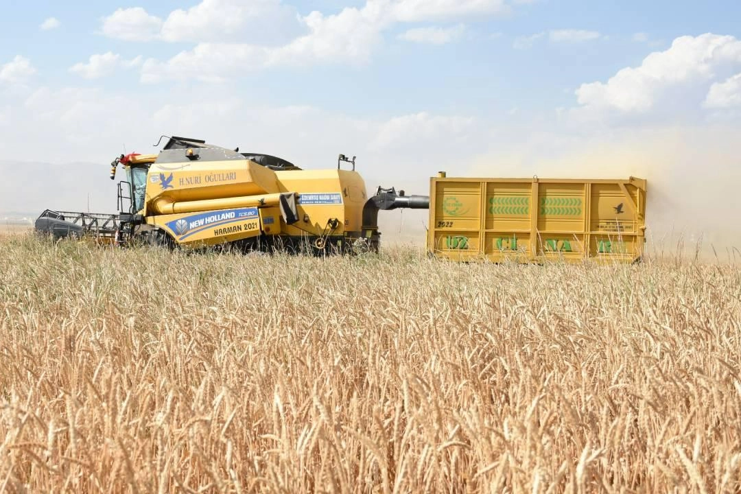 Tarım Ürünleri Üretici Fiyat Endeksi açıklandı haberinin görseli