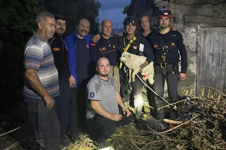 Bir aydır kayıp olan Pamuk’u İzmir İtfaiyesi sahibine kavuşturdu haberinin görseli