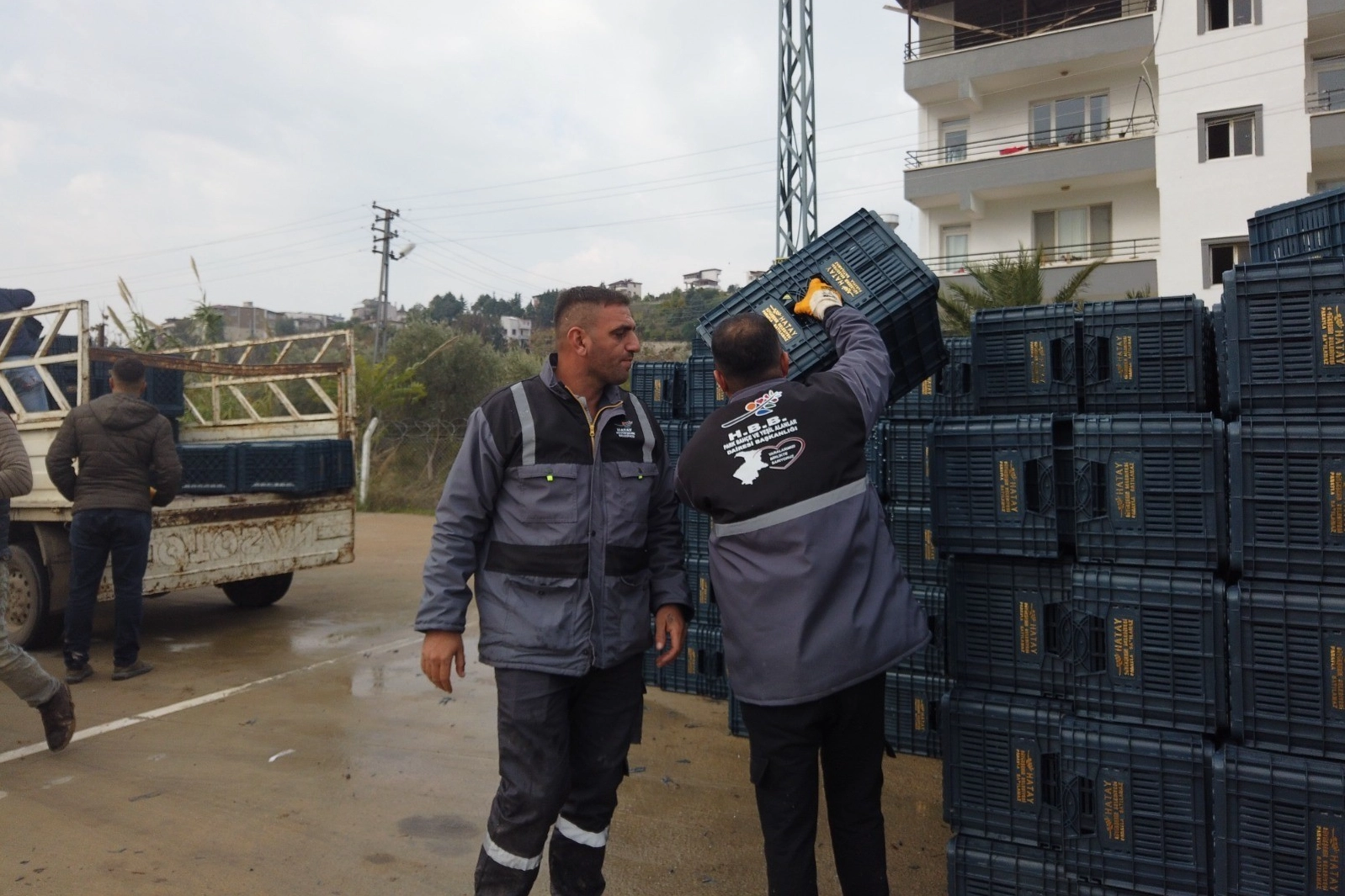 Çiftçiye destek Hatay Büyükşehir Belediyesi'nden geldi