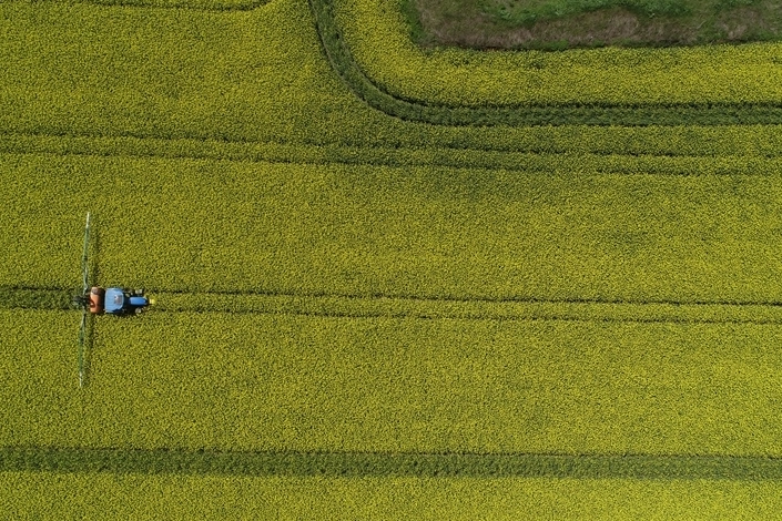 Türkiye, 19 tarım ürünü ile dünyada ilk sıralarda haberinin görseli
