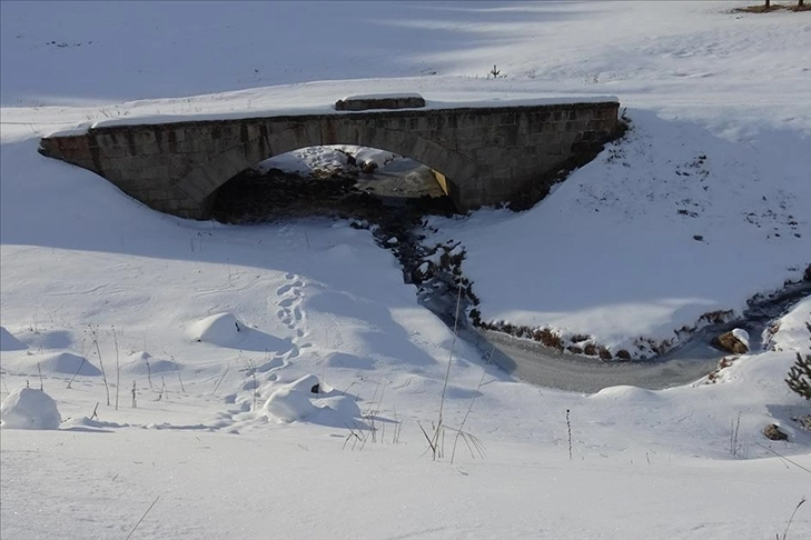 Erzurum, Kars ve Ardahan soğuk havanın esiri oldu