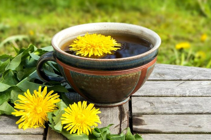 Karahindiba nedir? Karahindiba çayının faydaları nelerdir? haberinin görseli