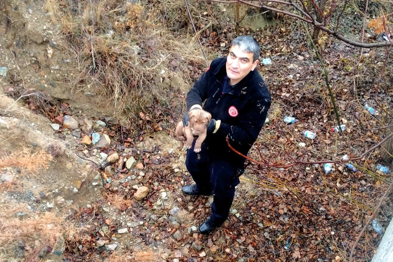 Çankırı’da yavru köpeğin imdadına itfaiye ekipleri koştu