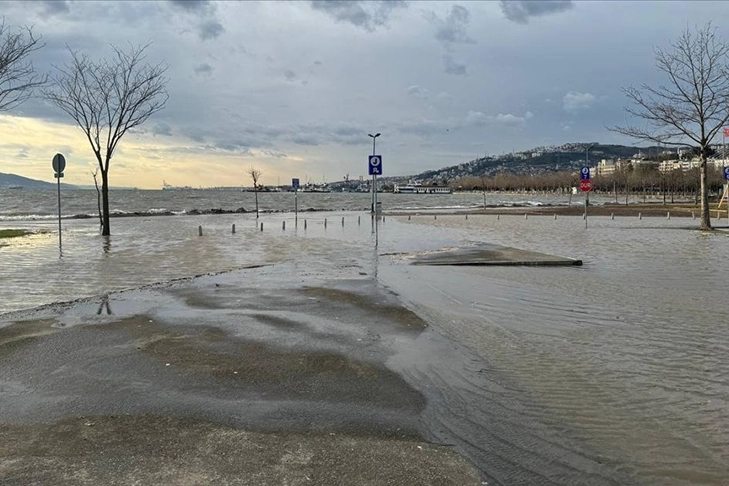 Kocaeli'de deniz taştı, ağaçlar otomobillerin üzerine devrildi