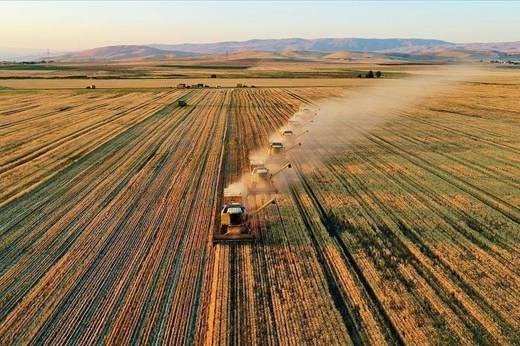 Tarımda üretim planlaması hayata geçirilecek