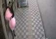 Afyon’da oyuncak ayı hırsızlığı